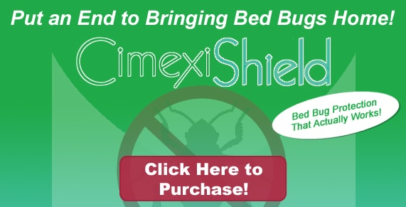 Non-toxic Bed Bug treatment Greenpoint Brooklyn, bugs in bed Greenpoint Brooklyn, kill Bed Bugs Greenpoint Brooklyn