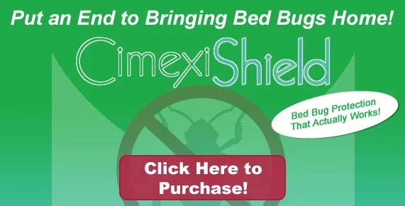 Non-toxic Bed Bug treatment Homecrest Brooklyn, bugs in bed Homecrest Brooklyn, kill Bed Bugs Homecrest Brooklyn