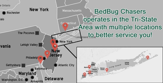 Non-toxic Bed Bug treatment City Line Brooklyn, bugs in bed City Line Brooklyn, kill Bed Bugs City Line Brooklyn, Get Rid of Bed Bugs in City Line