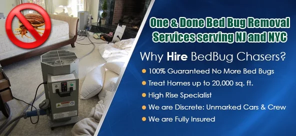 Bed Bug pictures Fort Greene Brooklyn, Bed Bug treatment Fort Greene Brooklyn, Bed Bug heat Fort Greene Brooklyn