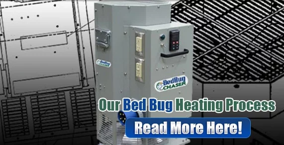 Bed Bug bites Near Me , Bed Bug spray Near Me , hypoallergenic Bed Bug treatments Near Me 