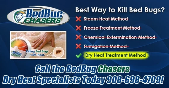 Bed Bug pictures Brooklyn NY, Bed Bug treatment Brooklyn NY, Bed Bug heat Brooklyn NY