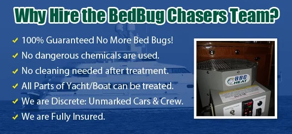 Chemical Free Bed Bug Treatment Brooklyn, Get Rid of Bed Bugs Brooklyn, Bed Bug Spray Brooklyn, What to do Bed Bugs look like Brooklyn, Kill Bed Bugs Brooklyn, Bed Bug Treatment Brooklyn, Bed Bug Dog Brooklyn, How to get Rid of Bed Bugs Brooklyn, Bed Bug Heat Treatment Brooklyn, Bed Bug Eggs Brooklyn, Brooklyn Bed Bug Exterminator, Bed Bug Images Brooklyn, Bed Bug Inspection Brooklyn,