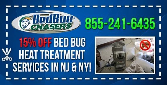 Non-toxic Bed Bug treatment DUMBO Brooklyn, bugs in bed DUMBO Brooklyn, kill Bed Bugs DUMBO Brooklyn